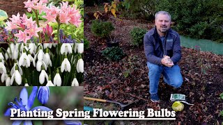 Planting Spring Flowering Bulbs  Scilla Anemones Amarcrinum Snowdrops [upl. by Vihs919]