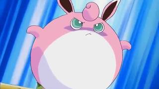 Wigglytuff Inflates [upl. by Naggem]