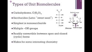 002Biological Molecules [upl. by Emad]