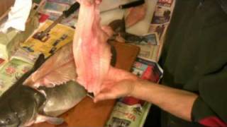 How to Fillet a Catfish  Easy and Simple Catfish Filleting [upl. by Mattah]