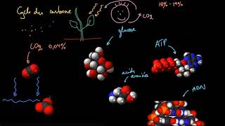 Le cycle du carbone [upl. by Assyral917]