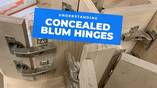 All the main Blum hinge types explained [upl. by Aitat408]