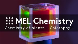 “Chlorophyll“ from the “Chemistry of plants“ set [upl. by Tuchman794]