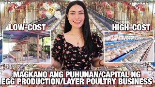 MAGKANO ANG PUHUNANCAPITAL NG LAYER POULTRY FARM BUSINESS SA PILIPINAS💸  TIPS  Tinmay Arcenas ❤️ [upl. by Aneloc]