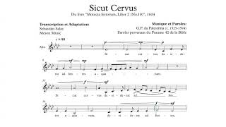 Alto  Sicut Cervus PL da Palestrina [upl. by Larrisa339]