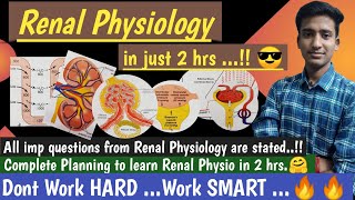 How to complete Renal Physiology in 2 hrs  Renal Physiology  in hindi  Ashish Agrawal [upl. by Caasi]