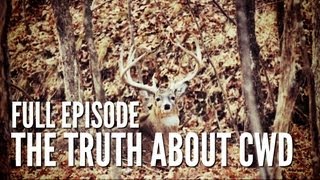 Documentary on Chronic Wasting Disease  Deer amp Wildlife Stories Special Edition [upl. by Aihsenod]