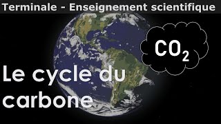 Le cycle du carbone  Enseignement scientifique  Terminale [upl. by Silletram505]