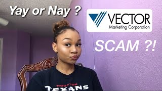 VECTOR MARKETING  CUTCO A SCAM [upl. by Mecke368]