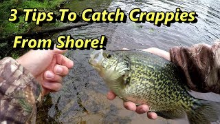 3 Crappie Fishing Tips Guaranteed To Catch Crappies From Shore [upl. by Lerred]