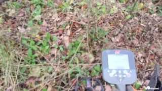 Metal Detecting Tips and Tricks  CTX 3030 [upl. by Linskey]