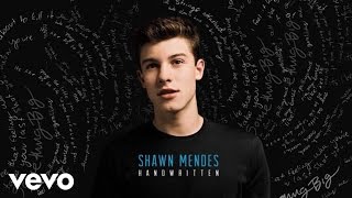 Shawn Mendes  Aftertaste Audio [upl. by Mochun]