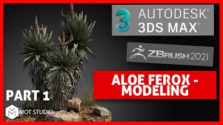 How to Create a Aloe Ferox VFX ready Plant Part 1 [upl. by Brittni381]