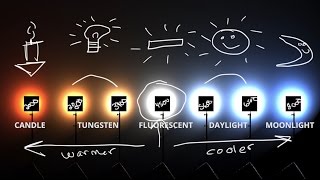 White Balance amp Kelvin Color temp explained 💡 [upl. by Cinnamon]