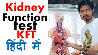 Kidney function test in hindi  Normal range and procedure explained [upl. by Dias423]