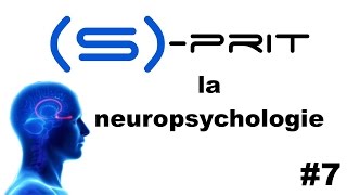 La neuropsychologie en 4 points  Sprit 7 [upl. by Nodnek]