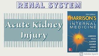 Acute Kidney Injury  Part 1 of 2  Etiology  Pathogenesis  Harrison [upl. by Horan]