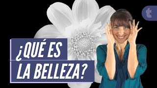 La estética y belleza para la filosofía [upl. by Vina]