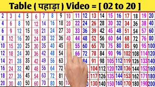 2 4 6 8  2 se Lekar 20 tak ka Pahada  Pahada Video  2 से लेकर 20 तक हिंदी पहाड़ा [upl. by Ynohtnaluap]