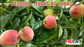 Como Fazer as Podas de Formação e Produção no PÊSSEGO Corretamente [upl. by Seniag922]