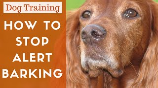 How To Train A Dog To Stop Alert Barking [upl. by Artim433]