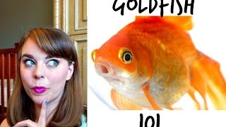 GOLDFISH 101  How To Care For A Goldfish [upl. by Troy]