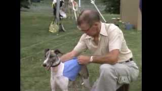 The Littlest Hobo Season 5 Episode 6 Born To Run [upl. by Rockwell]