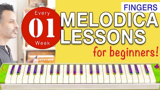 Melodica Lessons for Beginners 01 Fingers [upl. by Tsenrae]