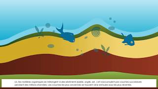 formation des gisements petrolier et gazier [upl. by Pouncey]