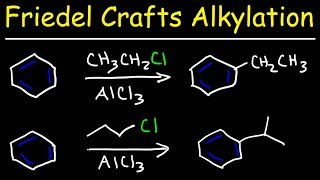 Friedel Crafts Alkylation of Benzene Reaction Mechanism  Tons of Examples [upl. by Aenitsirhc]