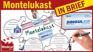 Montelukast 10 mg  Singulair  What is Montelukast Used For Dosage Side Effects amp Precautions [upl. by Nelg493]