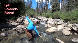 The TOP 10 fishing spots in Colorado  McFly Angler Fly Fishing [upl. by Granese652]