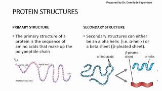 Chapter 23 Biological Molecules  Proteins [upl. by Srevart154]