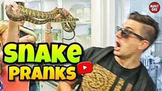 Funny Snake Pranks  2019 [upl. by Britni407]