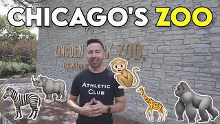 The WILD Animals at Lincoln Park Zoo  Chicago Tour [upl. by Ardnatal811]