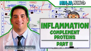 Immunology  Inflammation Complement Proteins Part 3 [upl. by Latrice]