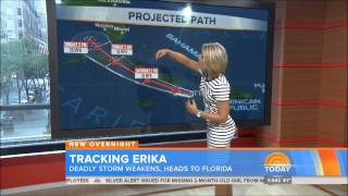 Dylan Dreyer The Today Show [upl. by Sajovich642]