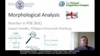 MOR106  Morphological Analysis PDE [upl. by Nnaeirelav]