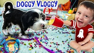 ITS OREO FUNnel V Fam Doggy Vloggy Whos Harder to Handle Puppy or Baby After Christmas Vlo [upl. by Marven]