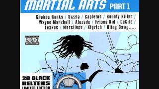 Martial Arts Pt1 Riddim Mix 2002 By DJWOLFPAK [upl. by Leroj513]