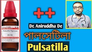 Pulsatilla  Discussion পালসেটিলা  Homeopathy Dr Advice in Bengali [upl. by Walkling]