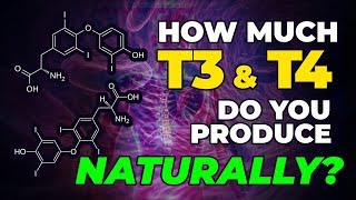 How Many MCG Of T3 And T4 Do You Naturally Produce [upl. by Ecnerrat]