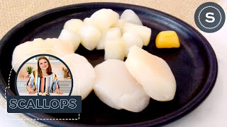 What Are Scallops How To Cook Perfect Scallops amp Scallop Recipes [upl. by Wiersma221]