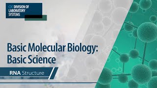 Basic Molecular Biology Basic Science – RNA Structure [upl. by Gerdeen]