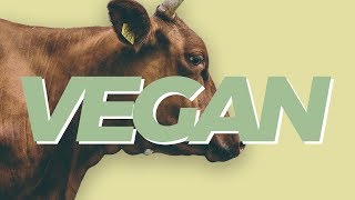 Heres why we need to rethink veganism [upl. by Damian700]