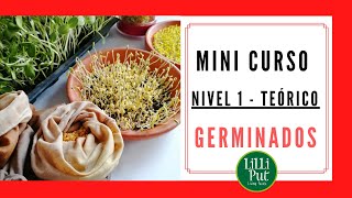 🌾CÓMO HACER GERMINADOS en casa 👉 Curso básico TEÓRICO [upl. by Ayanaj]