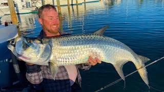 Fishing for Tarpon from the Dock [upl. by Hufnagel]