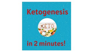 Ketogenesis and Ketones in 2 minutes [upl. by Bobbi]