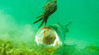 Insane Underwater Footage Fish Attacking Lures And Bass Fishing Tips [upl. by Avehsile]