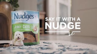 Nudges Natural Dog Treats [upl. by Atwahs735]